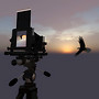 Large Format View Camera