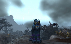 Worgen Druid Cat Form 2