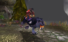 Worgen Travel in Darkshore