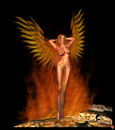 Phoenix revisited 1