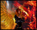 Phoenix Tribute