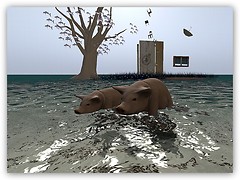 Two Fish 