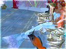 Laela @ Flippers and Fins_004 copy