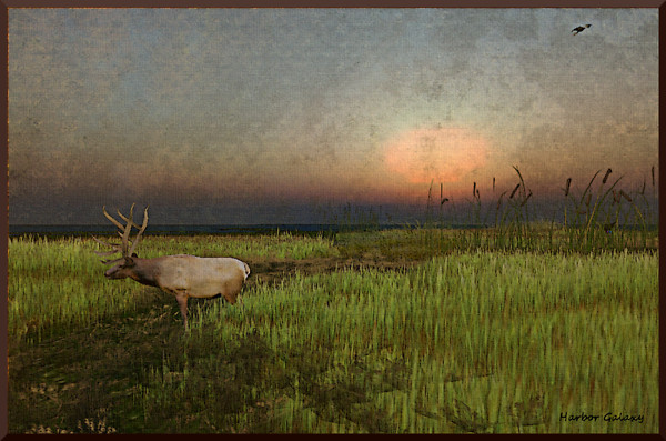 Dawn @ Lune