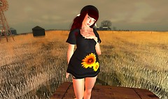 Snapshot_022