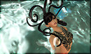 Farhaven_003 copy