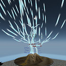 029 1008 Silene