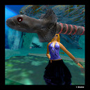 sonsierei lunasea