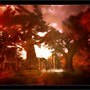 WHEN THE TREES TALK...