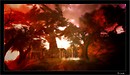 WHEN THE TREES TALK...