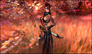 Wind Elf - Autumn