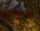 Fall Fete
