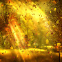 Autumn Magic