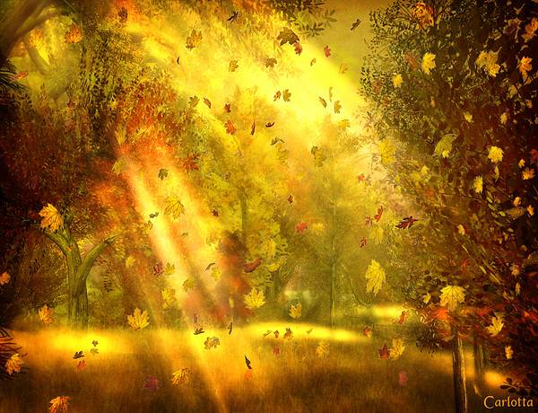 Autumn Magic