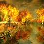 Autumn Reflections