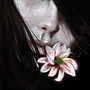Flower !