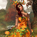 My Autumn
