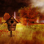Rainy Autumn Day
