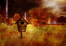 Rainy Autumn Day