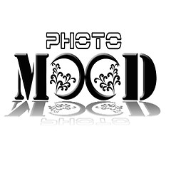 PhotoMood logo