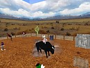 Ride 'Em Cowlady