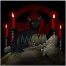 wittch`s cat