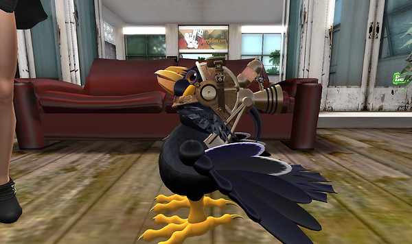 bird-fellow_001