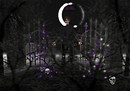 Mainly by Moonlight
