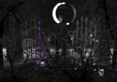 Mainly by Moonlight