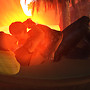 Snapshot_013