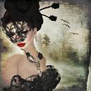 Black Rose