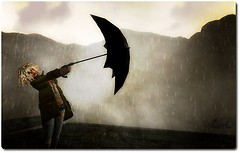 AVIS DE TEMPETE