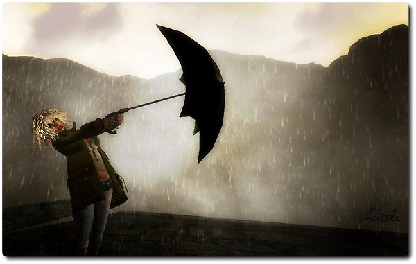 AVIS DE TEMPETE