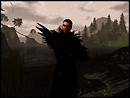 Explorations of a crow