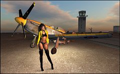 Yellow Jacket