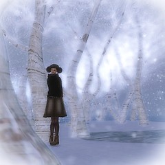 2010/11/21