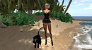 Phoenix 2010-11-26 00-50-44-01