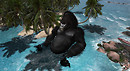 Phoenix 2010-11-15 13-23-56-22