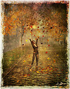 Autumn at Drobak
