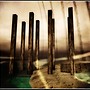 Stilts