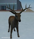 Winter Wonderland in Gaia