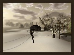 Winter time at embryo