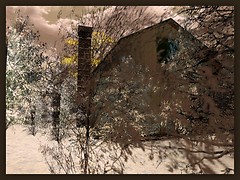 Winter time at embryo