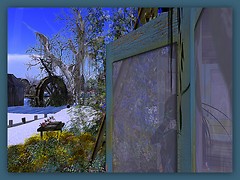 Winter time at embryo