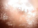 The tree of copper