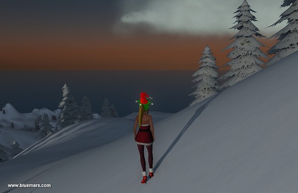 Winter Wonderland in Wildwood