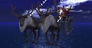 Xmas 2010
