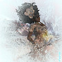 Ice Witch