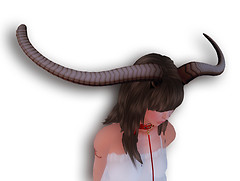 BuffaloHorn