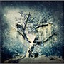 Snow Tree